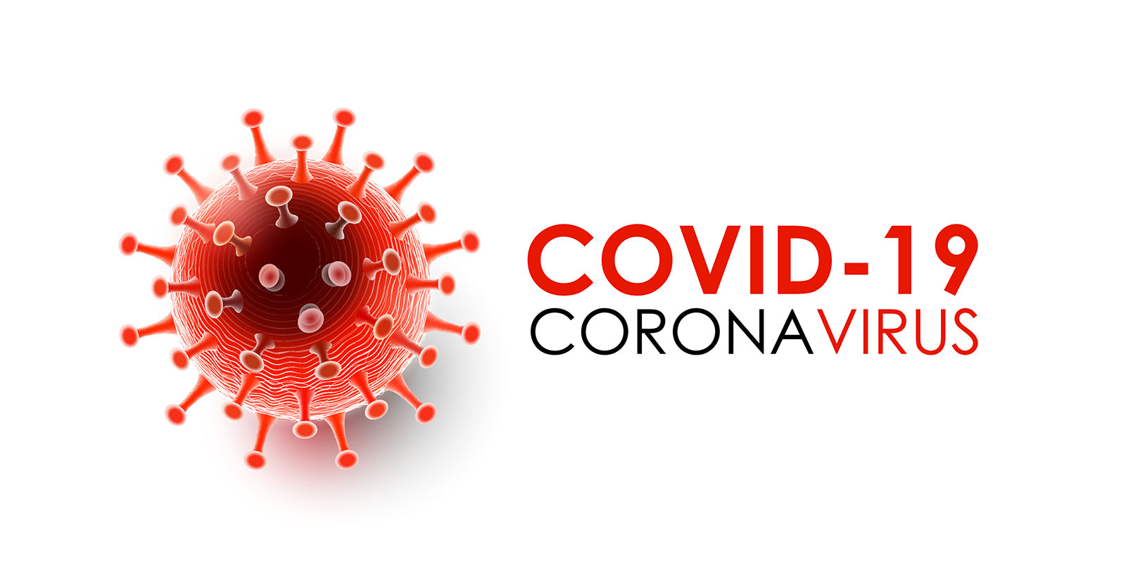 The Impact of COVID-19