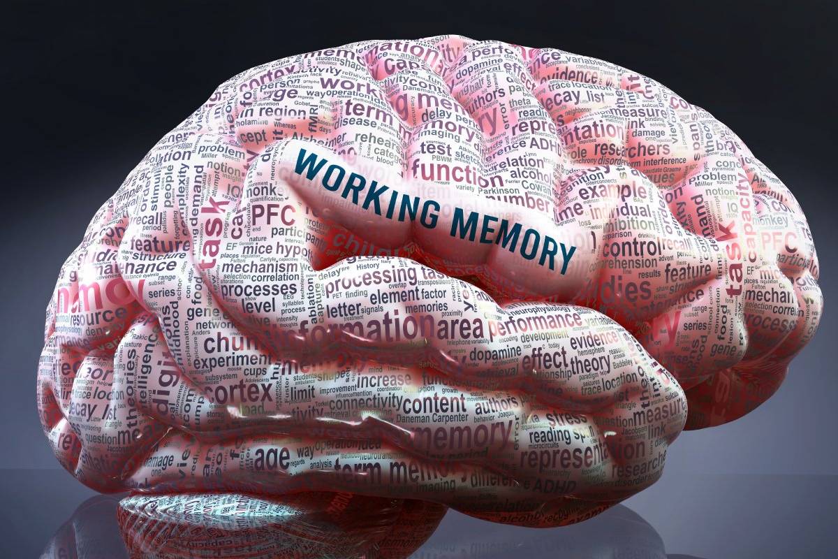 How Teachers can support Working Memory in Their Pupils